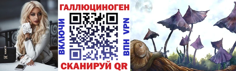 Псилоцибиновые грибы мицелий Нефтеюганск