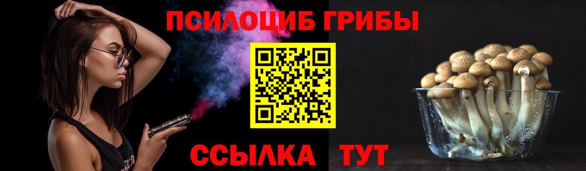 Галлюциногенные грибы прущие грибы  Галлюциногенные грибы Psilocybe  Вход с VPN  Нефтеюганск 